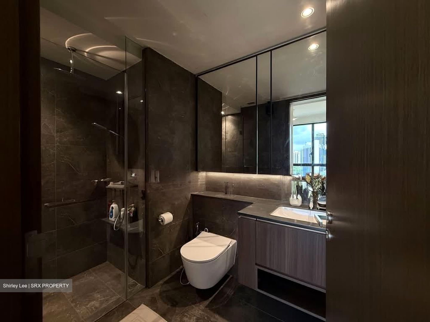 Kopar At Newton (D9), Apartment #563931991